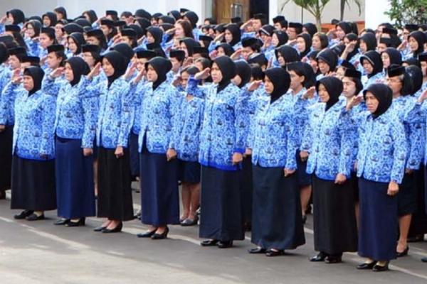 kebutuhan formasi pegawai ASN 2024