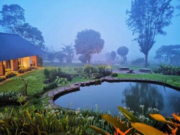 penginapan farmhouse indonesia sukasantai farmstay